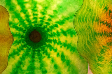 베타 존 치열 경쟁