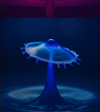 몰입형 모험 시작